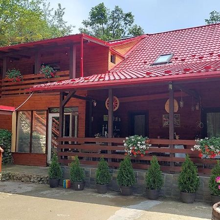 Cabana Alpha Baia Mare Ngoại thất bức ảnh