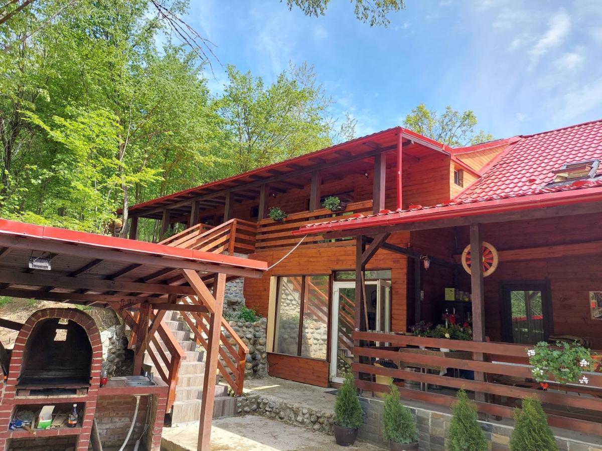 Cabana Alpha Baia Mare Ngoại thất bức ảnh