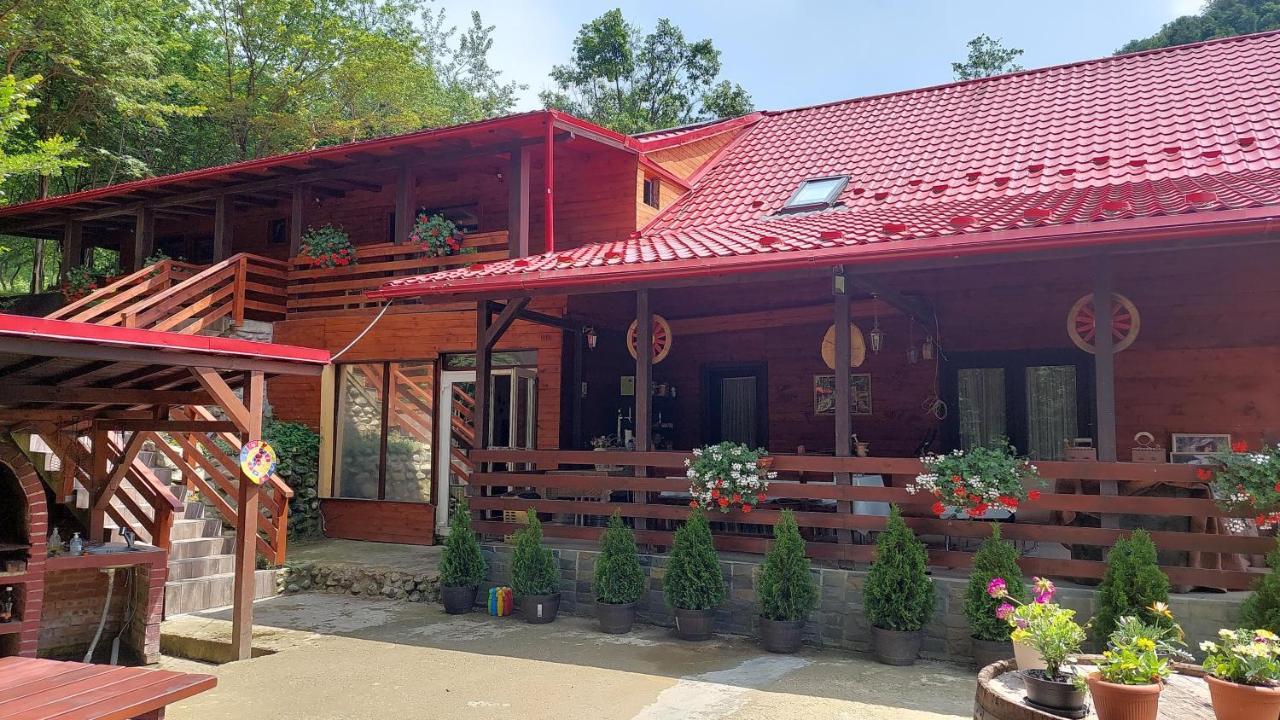 Cabana Alpha Baia Mare Ngoại thất bức ảnh
