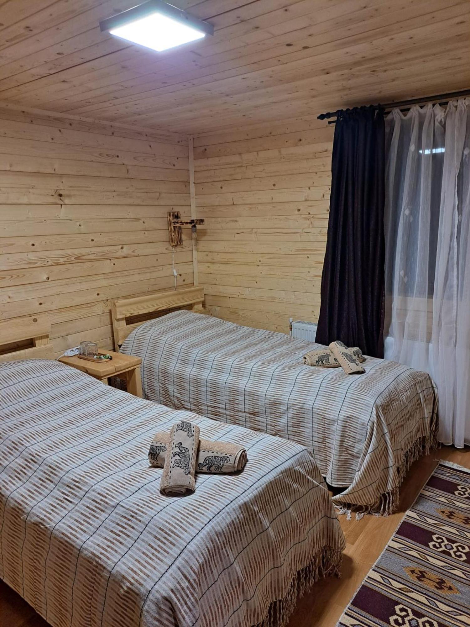 Cabana Alpha Baia Mare Ngoại thất bức ảnh