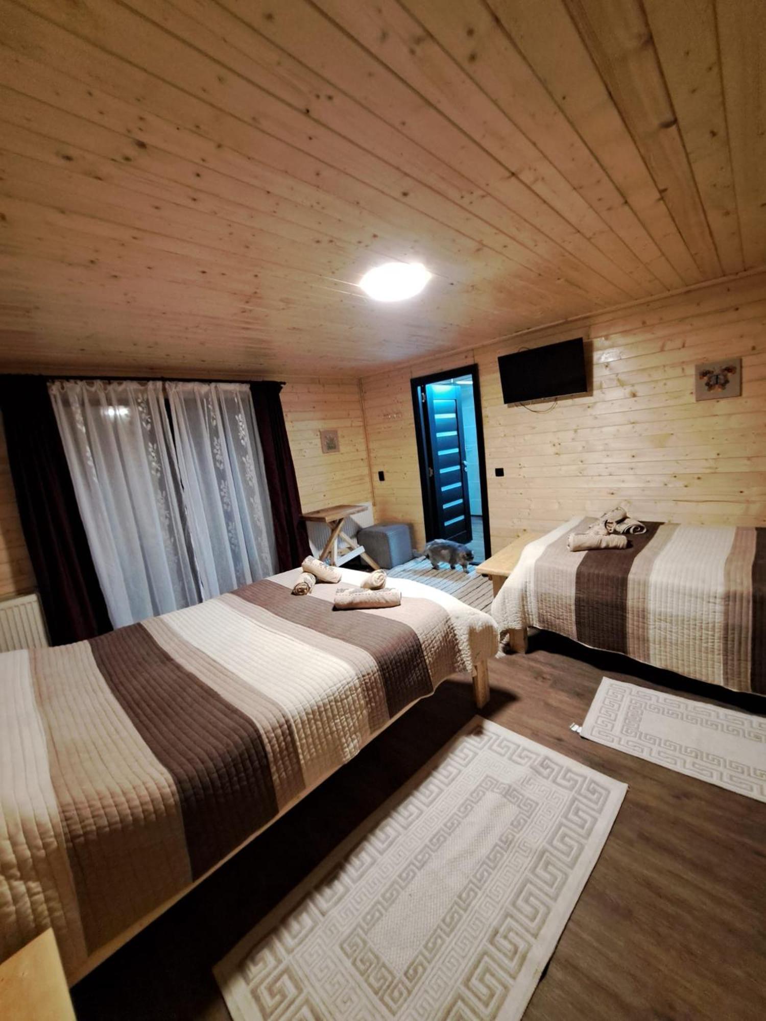 Cabana Alpha Baia Mare Ngoại thất bức ảnh
